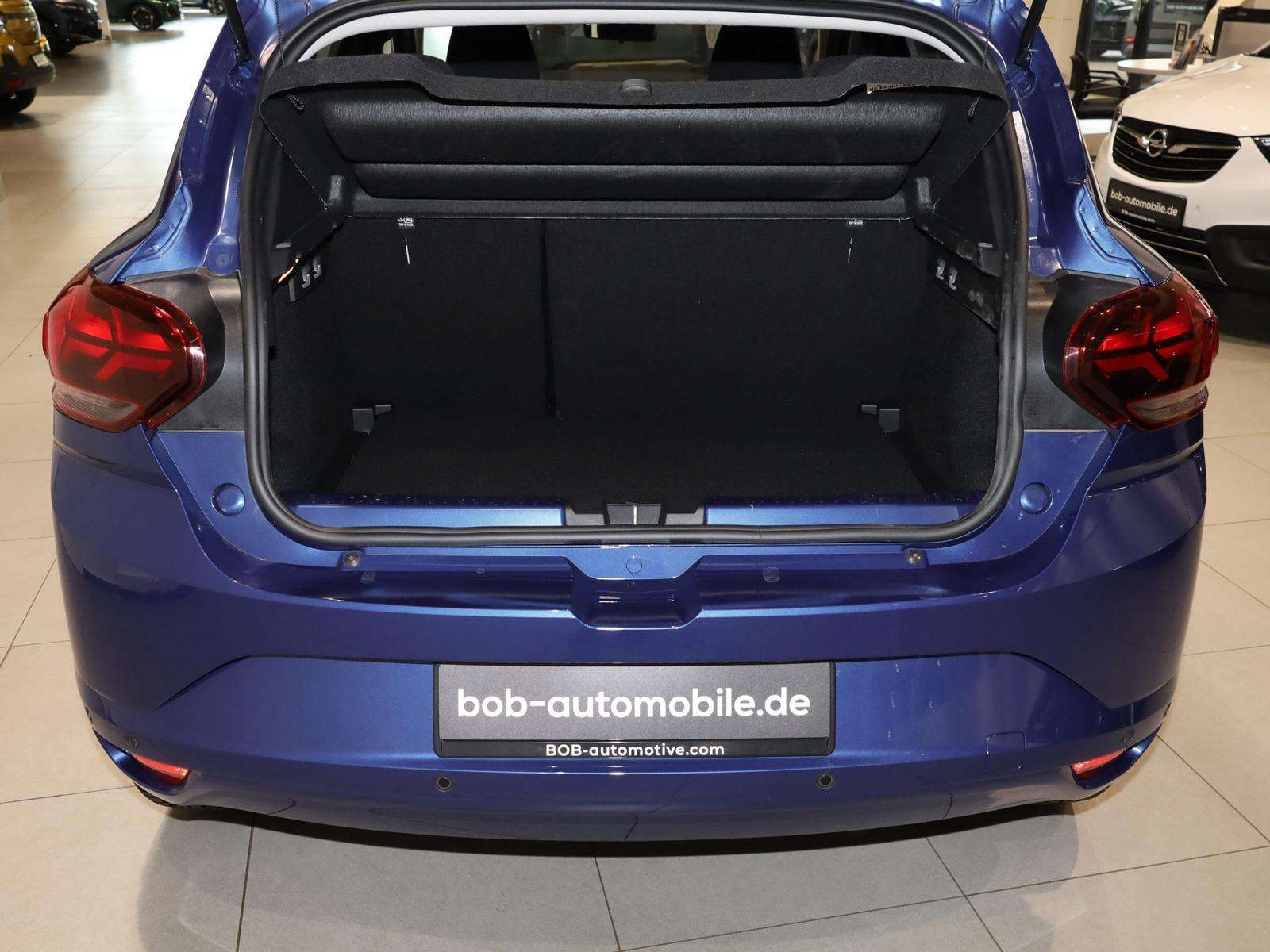 Fahrzeugbild eines Dacia Sandero