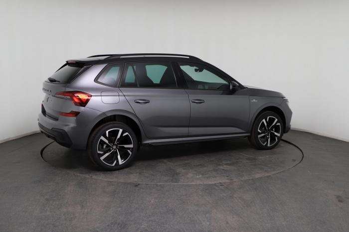 Fahrzeugbild eines Skoda Kamiq