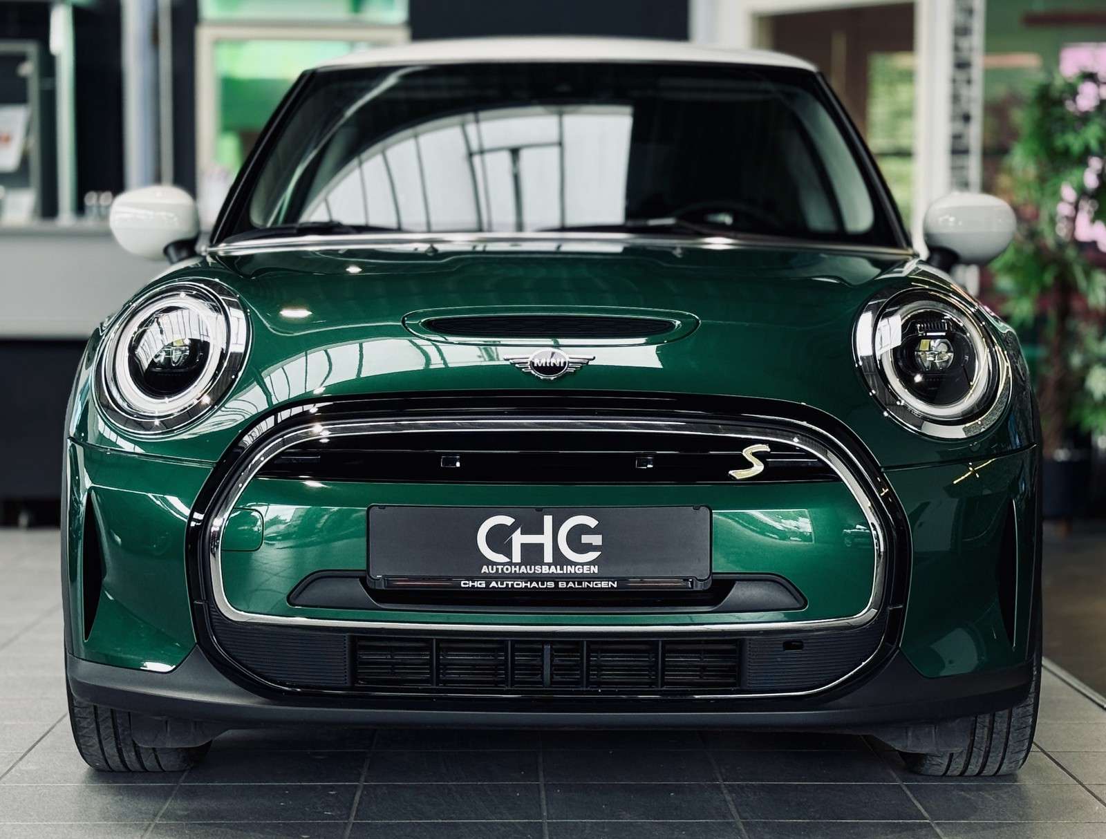 Fahrzeugbild eines MINI COOPER