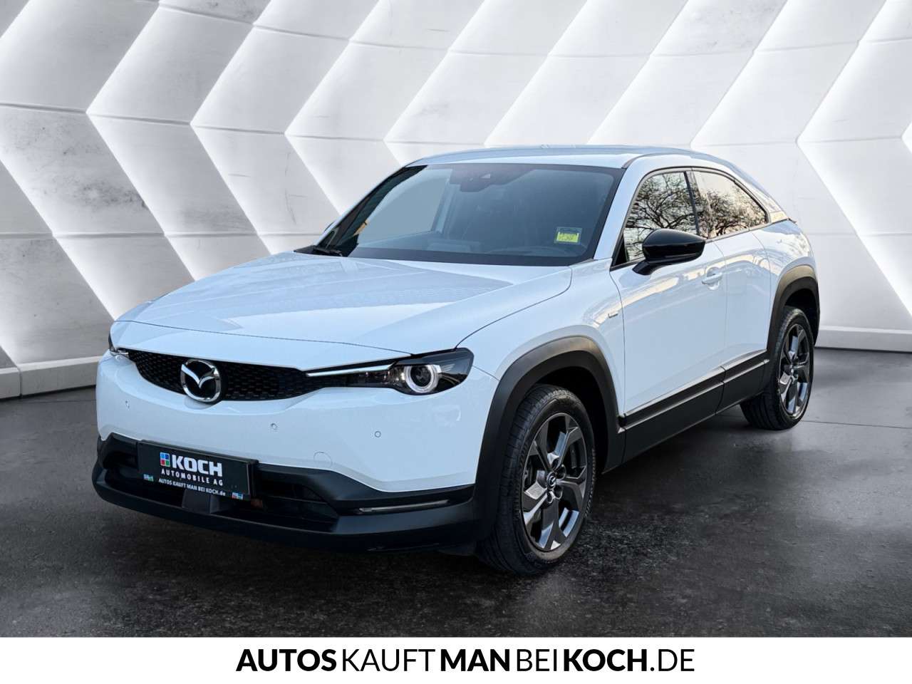 Fahrzeugbild eines Mazda MX-30