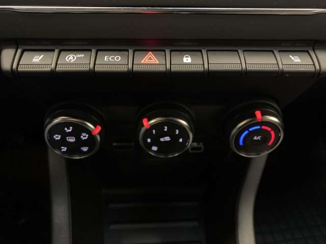 Fahrzeugbild eines Renault Clio