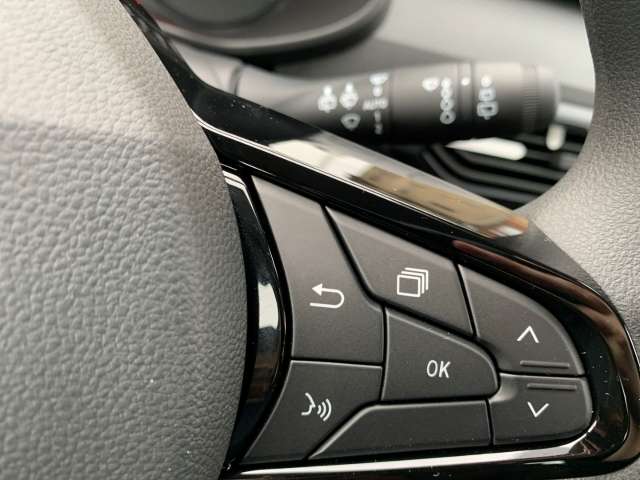 Fahrzeugbild eines Dacia Sandero