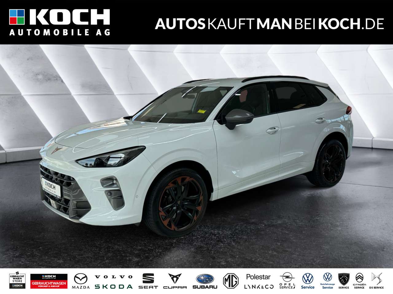 Fahrzeugbild eines CUPRA Terramar