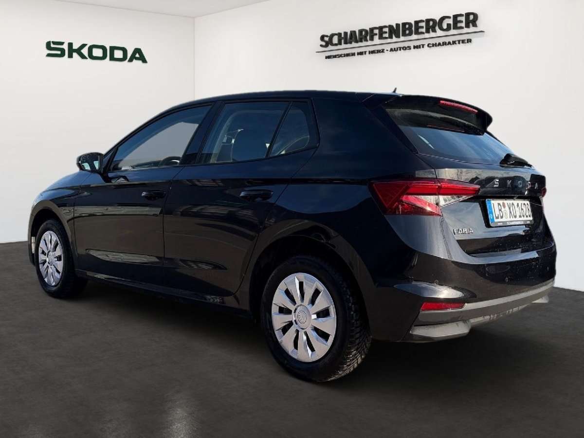 Fahrzeugbild eines Skoda Fabia
