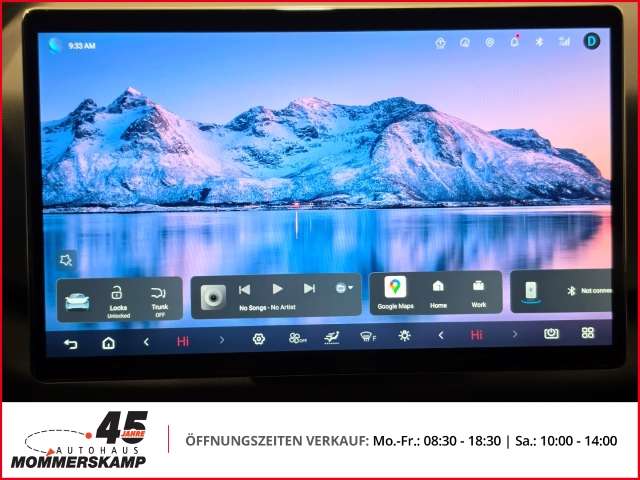 Fahrzeugbild eines BYD Atto 2