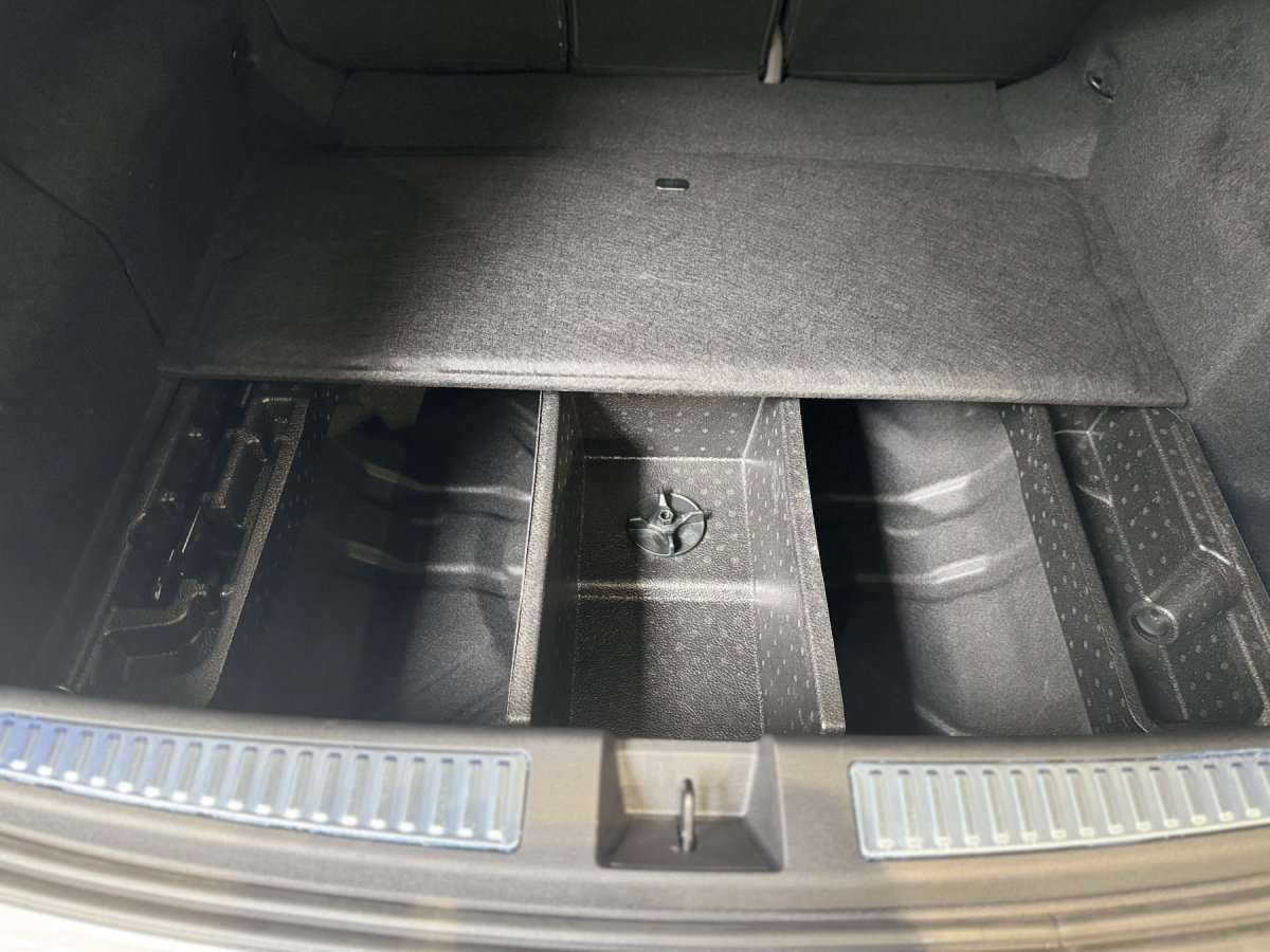 Fahrzeugbild eines Renault Rafale