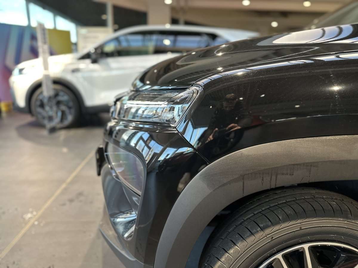 Fahrzeugbild eines Dacia Spring