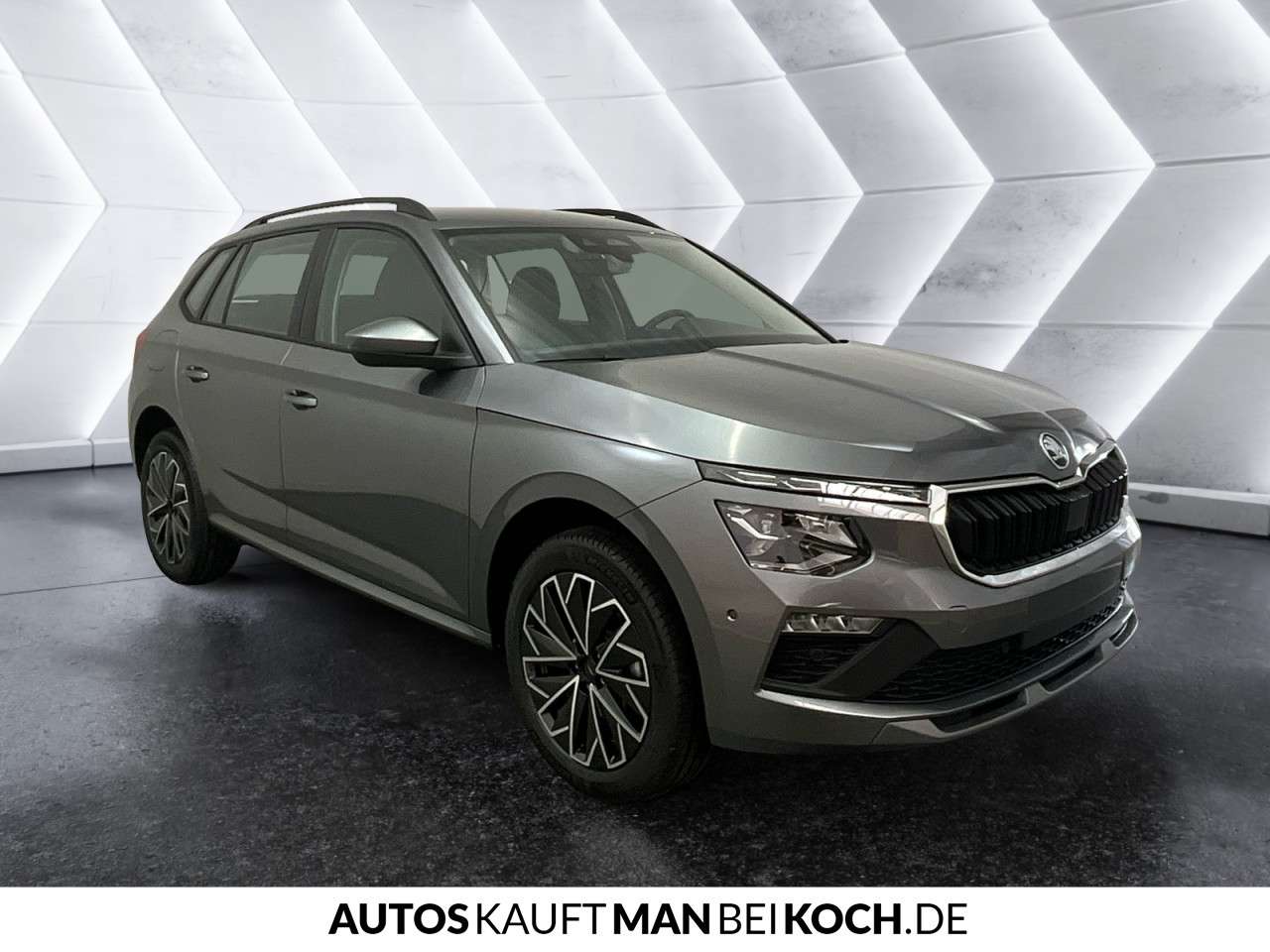 Fahrzeugbild eines Skoda Kamiq