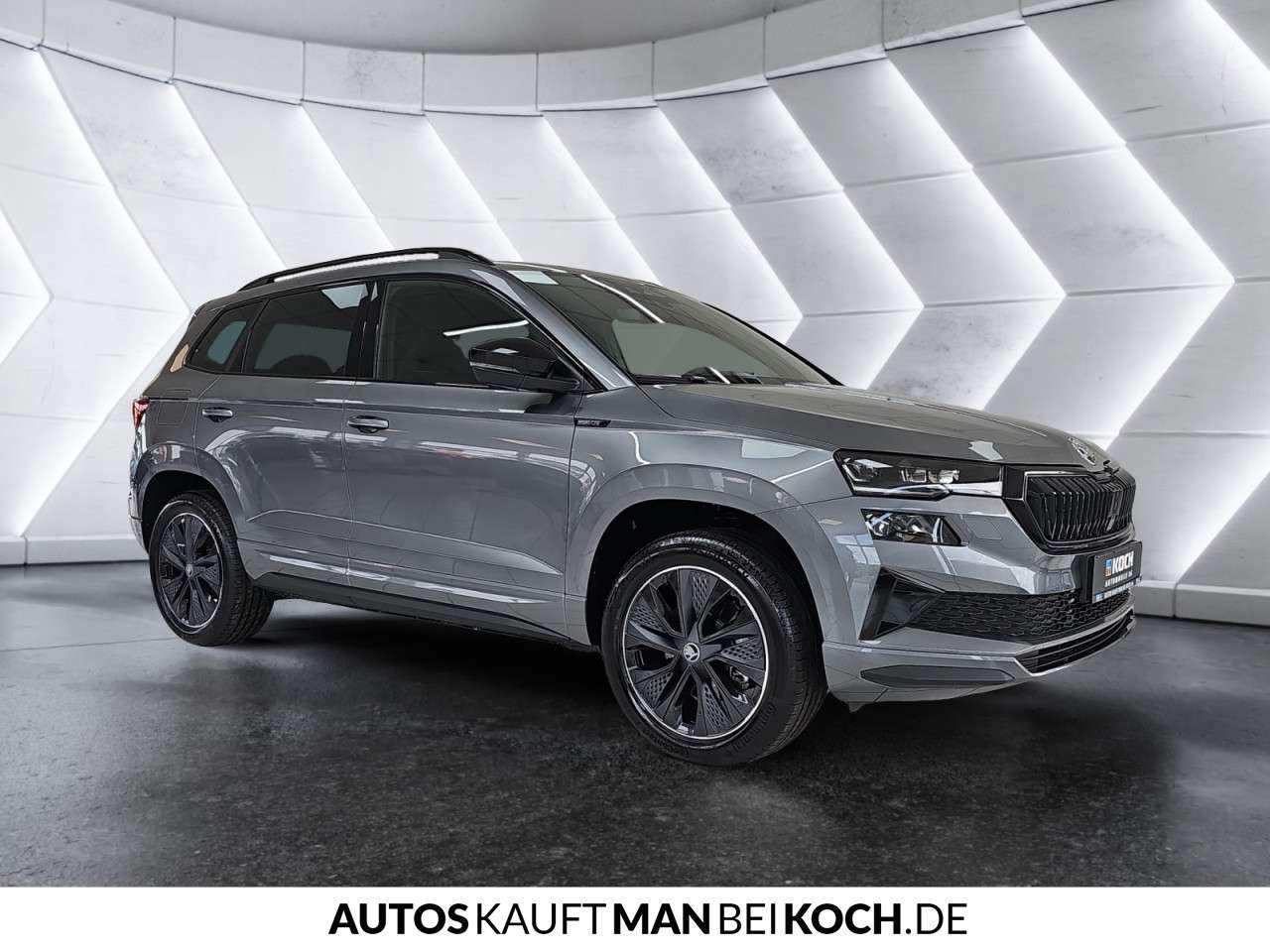 Fahrzeugbild eines Skoda Karoq