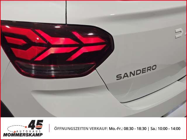 Fahrzeugbild eines Dacia Sandero