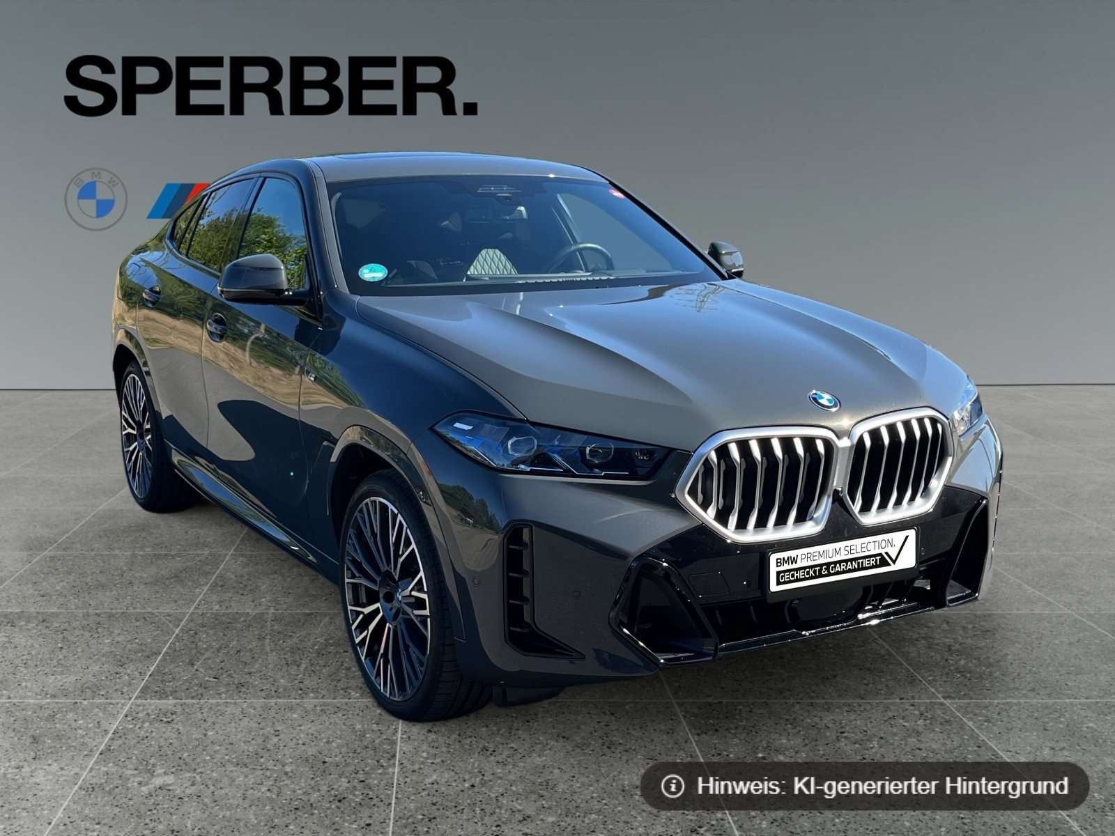 Fahrzeugbild eines BMW X6