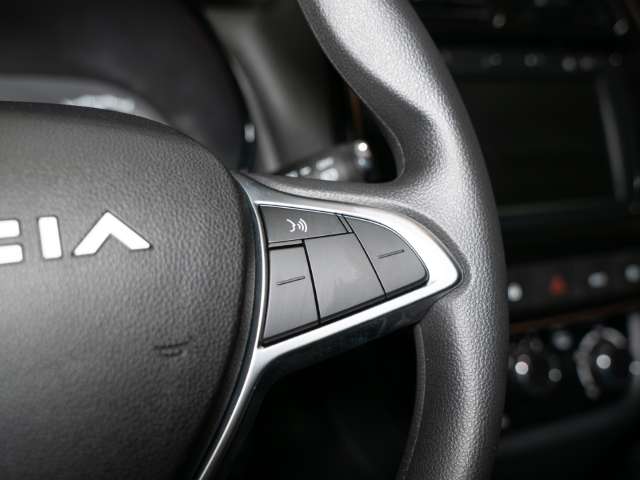 Fahrzeugbild eines Dacia Spring