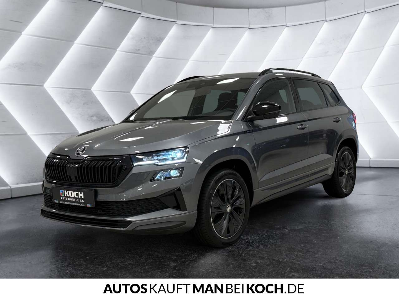 Fahrzeugbild eines Skoda Karoq