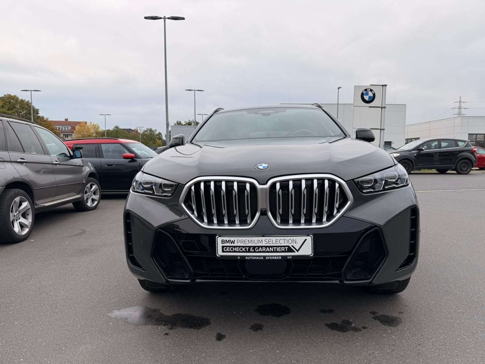Fahrzeugbild eines BMW X6