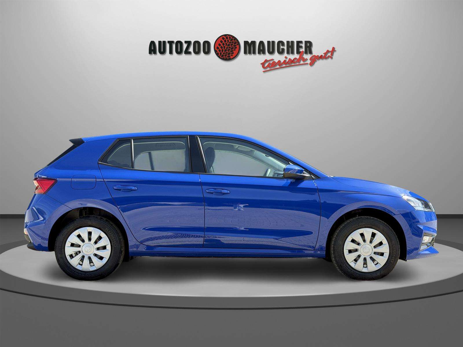 Fahrzeugbild eines Skoda Fabia