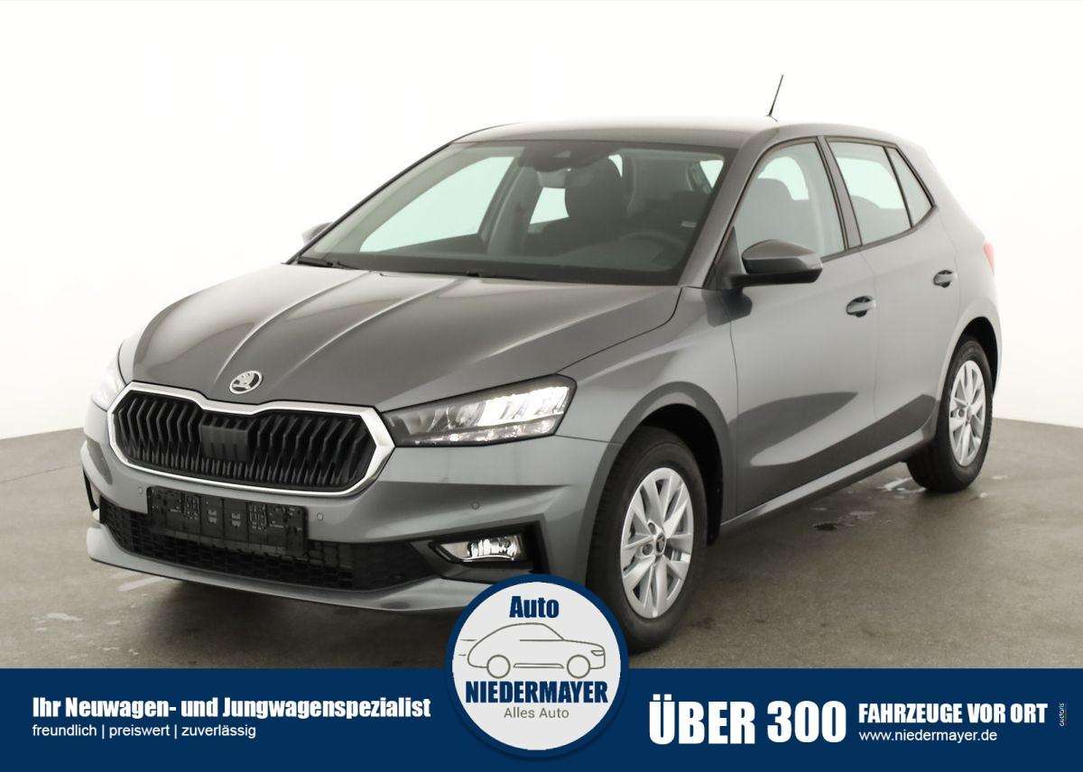 Fahrzeugbild eines Skoda Fabia