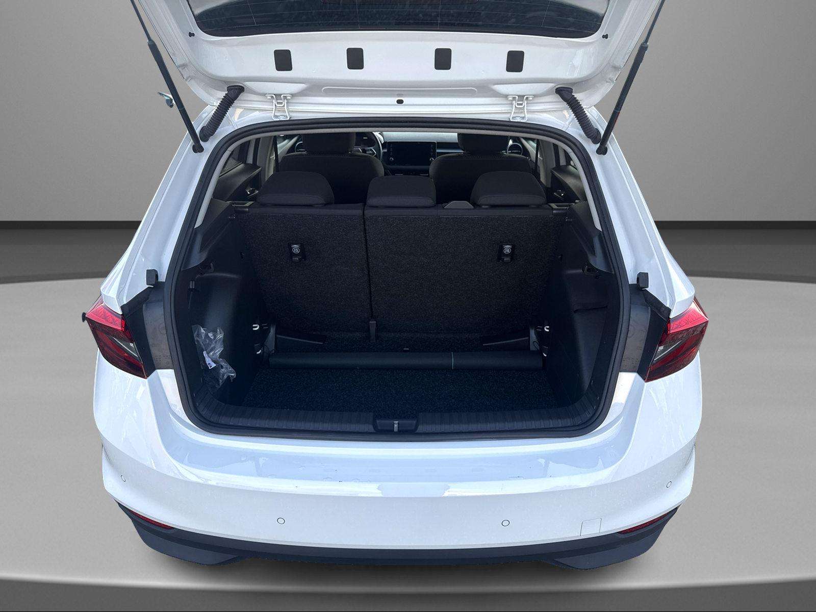 Fahrzeugbild eines Skoda Fabia