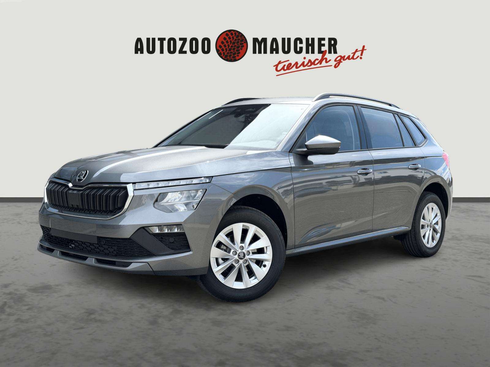 Fahrzeugbild eines Skoda Kamiq