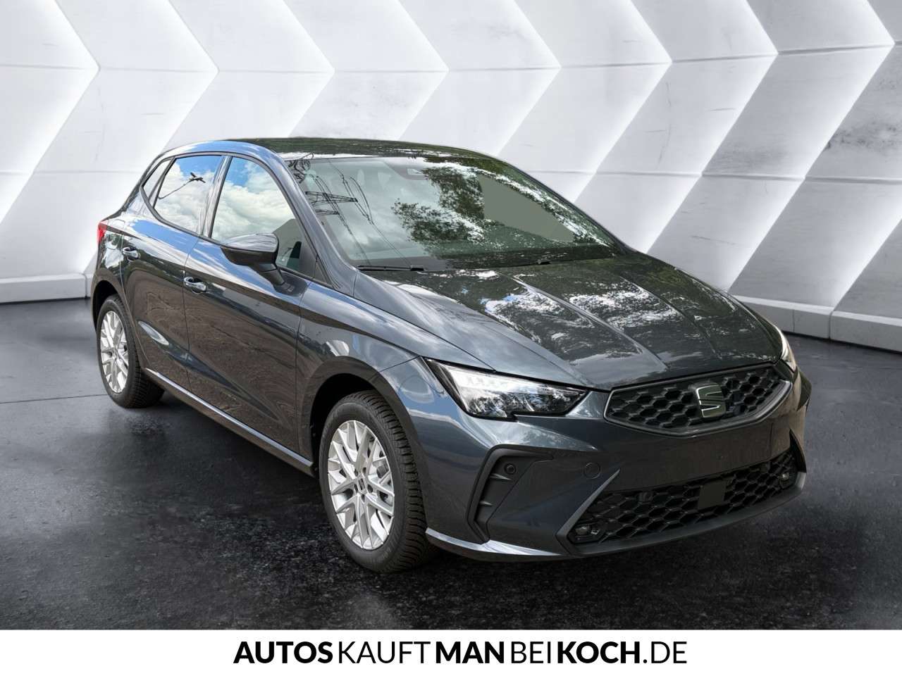 Fahrzeugbild eines SEAT Ibiza