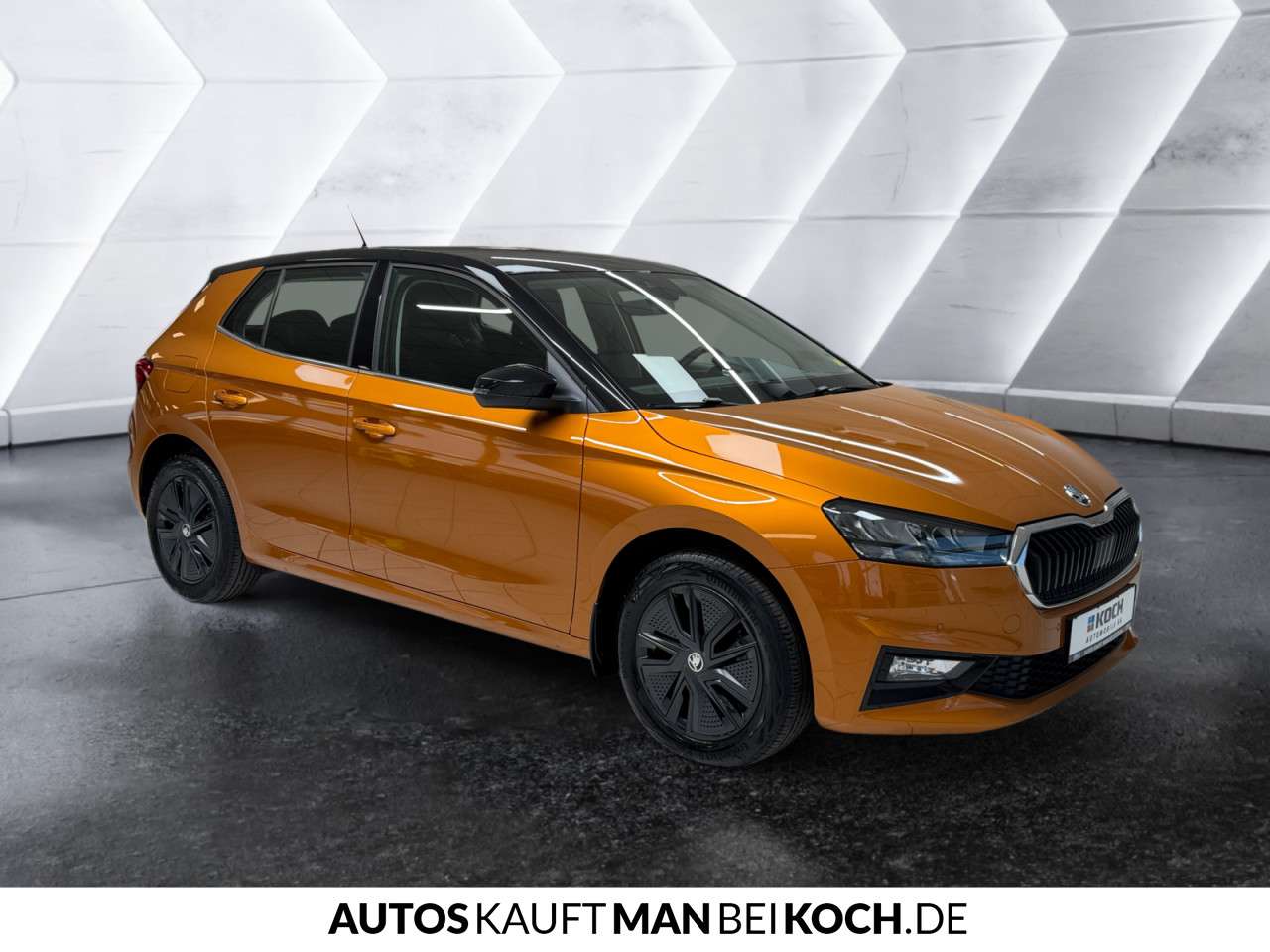 Fahrzeugbild eines Skoda Fabia