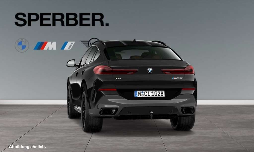 Fahrzeugbild eines BMW X6