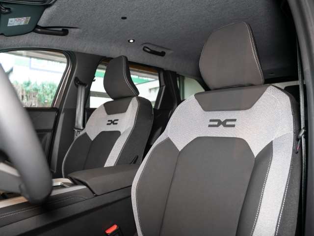 Fahrzeugbild eines Dacia Bigster