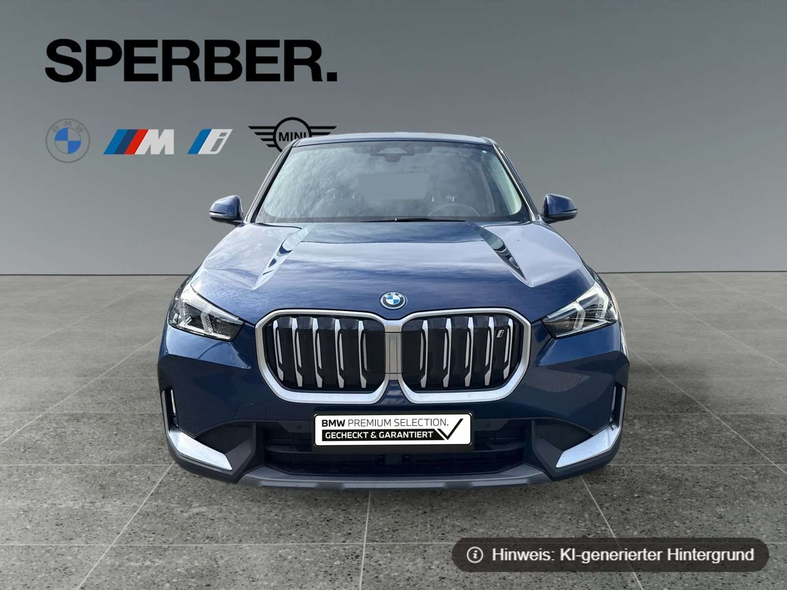 Fahrzeugbild eines BMW iX1