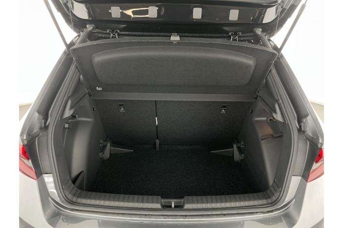Fahrzeugbild eines Skoda Fabia