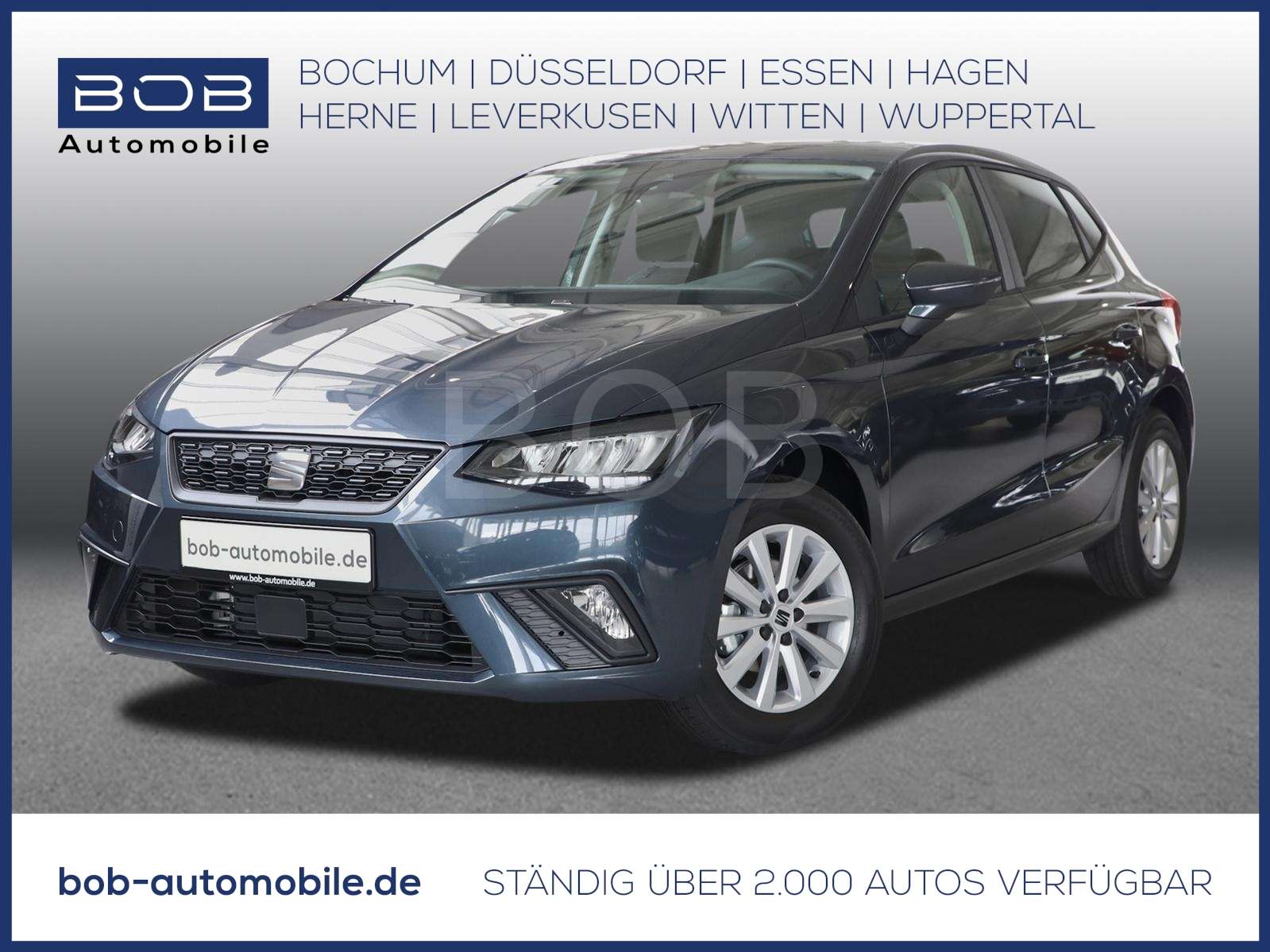 Fahrzeugbild eines SEAT Ibiza