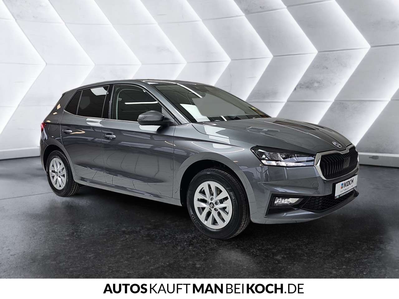 Fahrzeugbild eines Skoda Fabia