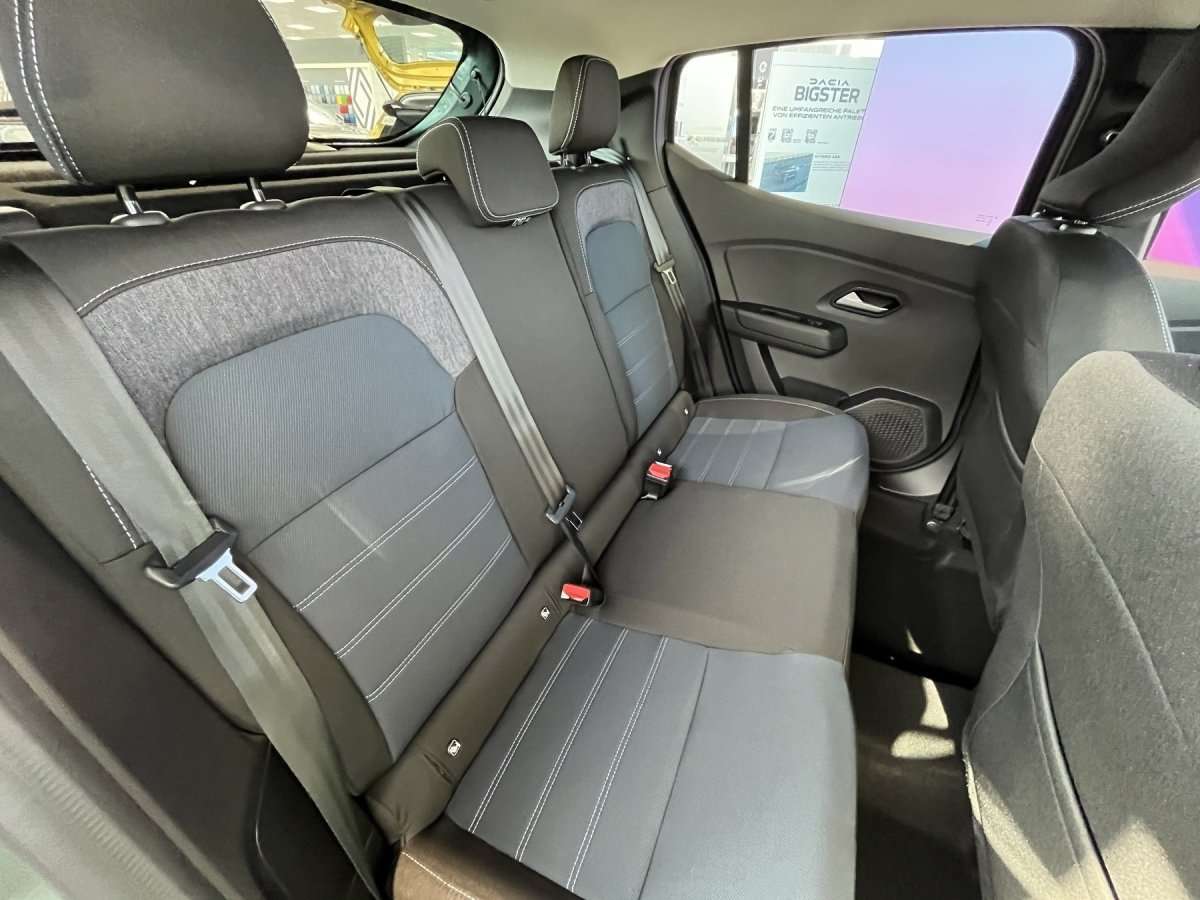 Fahrzeugbild eines Dacia Sandero