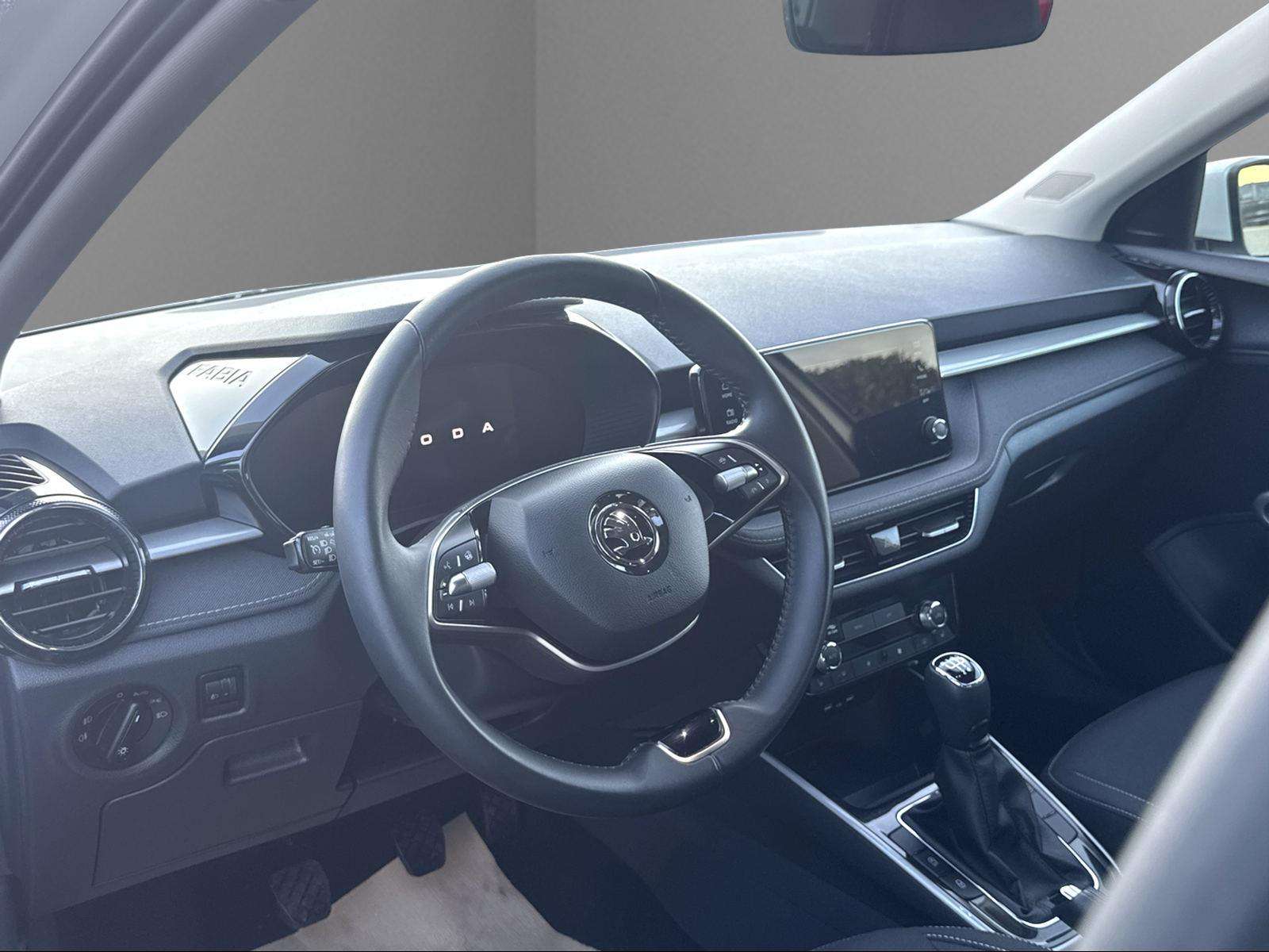 Fahrzeugbild eines Skoda Fabia