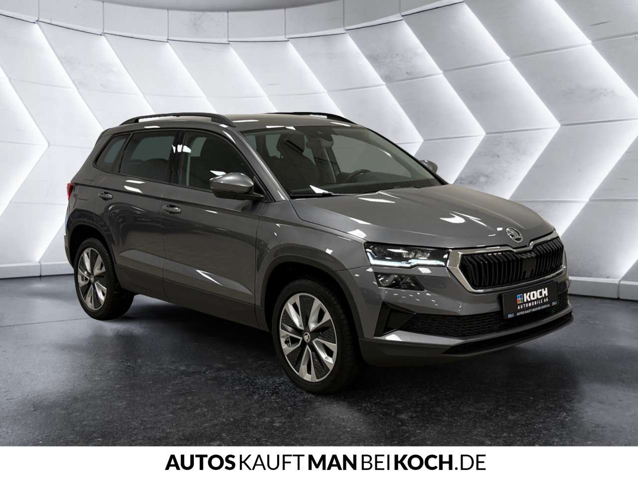 Fahrzeugbild eines Skoda Karoq