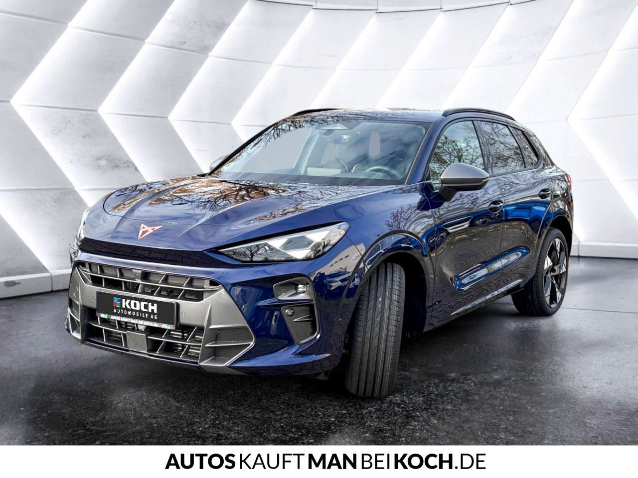 Fahrzeugbild eines CUPRA Terramar