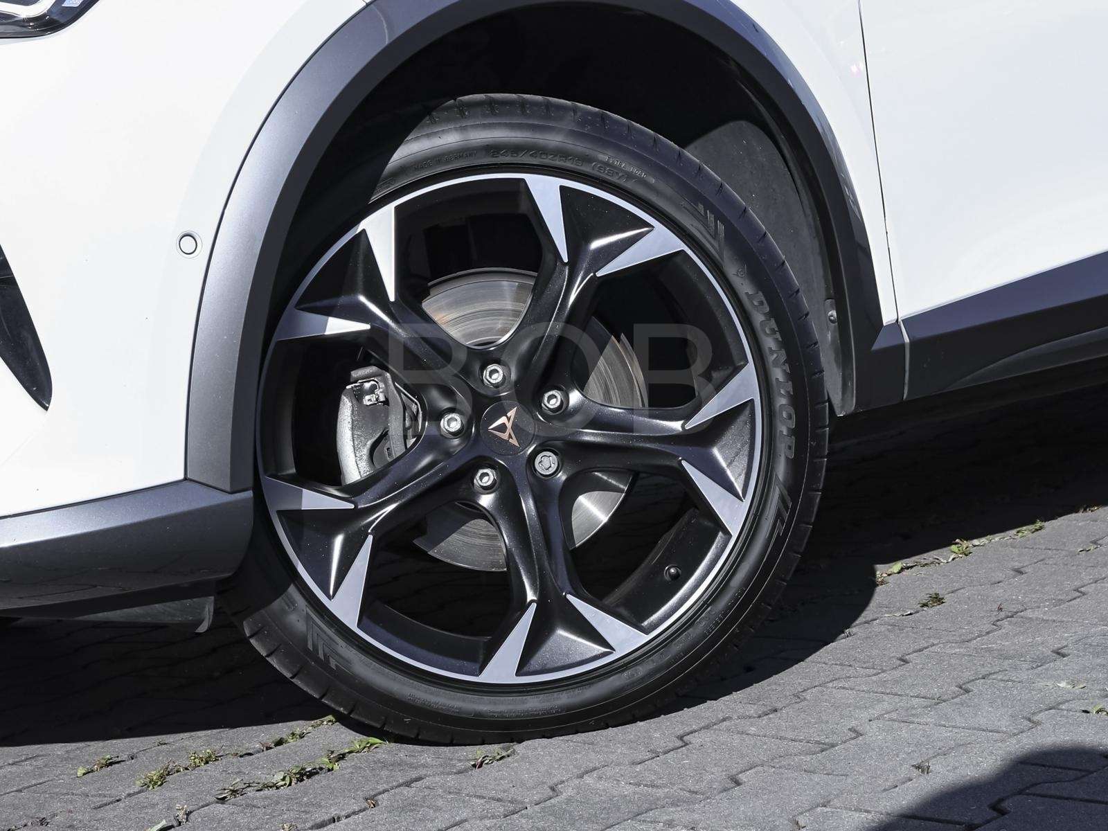 Fahrzeugbild eines CUPRA Formentor