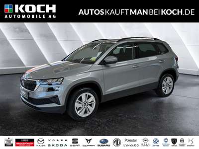 Bild Skoda Karoq