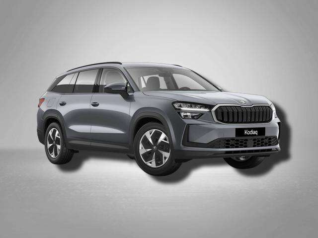 Fahrzeugbild eines Skoda Kodiaq