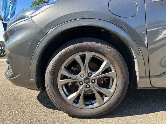 Fahrzeugbild eines Ford Kuga