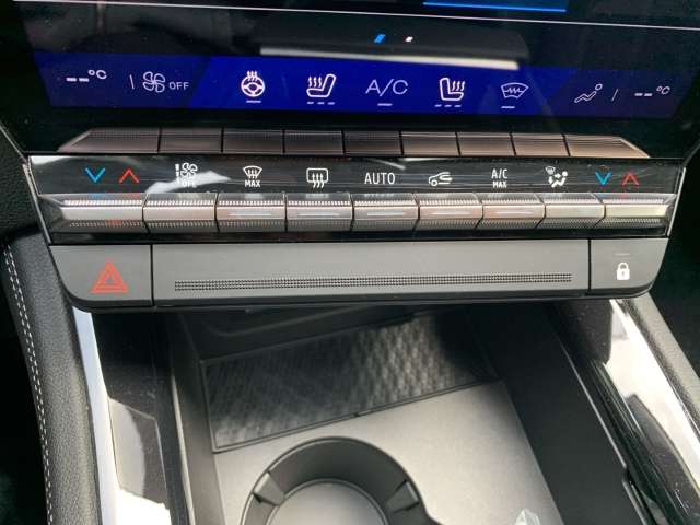 Fahrzeugbild eines Renault Austral