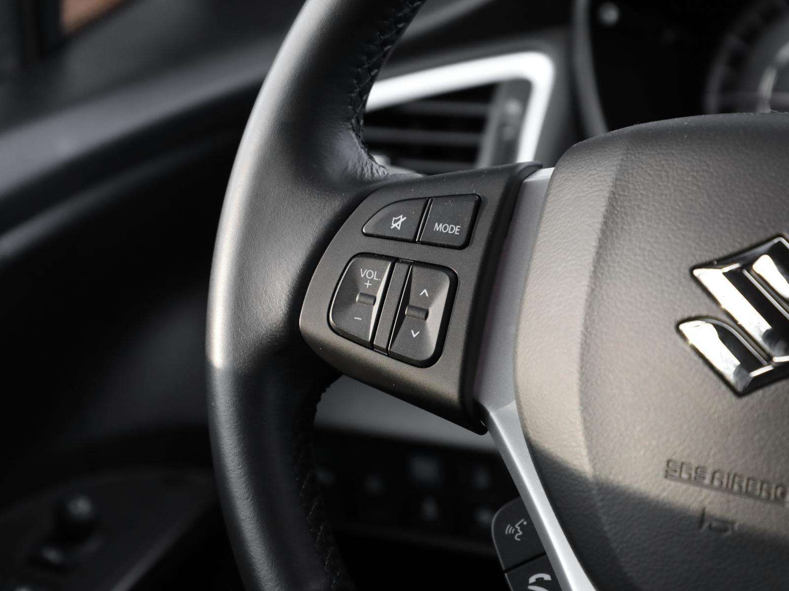 Fahrzeugbild eines Suzuki S-Cross