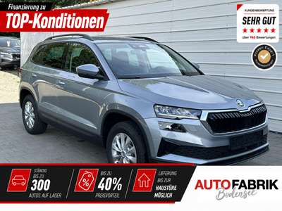 Bild Skoda Karoq