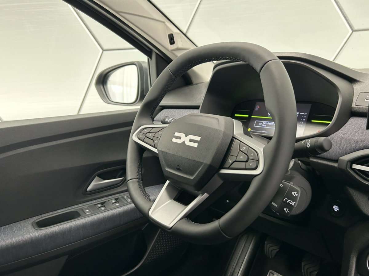 Fahrzeugbild eines Dacia Sandero