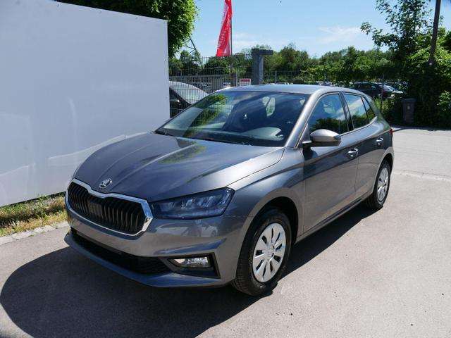 Fahrzeugbild eines Skoda Fabia