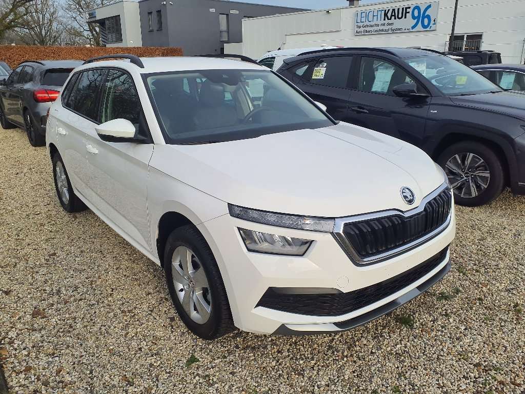 Fahrzeugbild eines Skoda Kamiq
