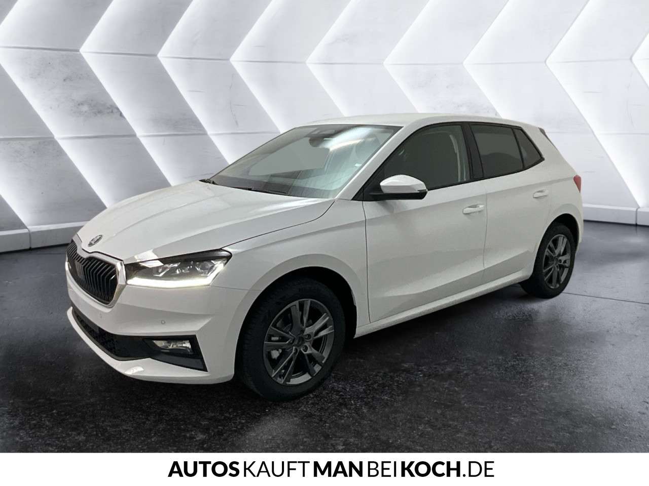 Fahrzeugbild eines Skoda Fabia