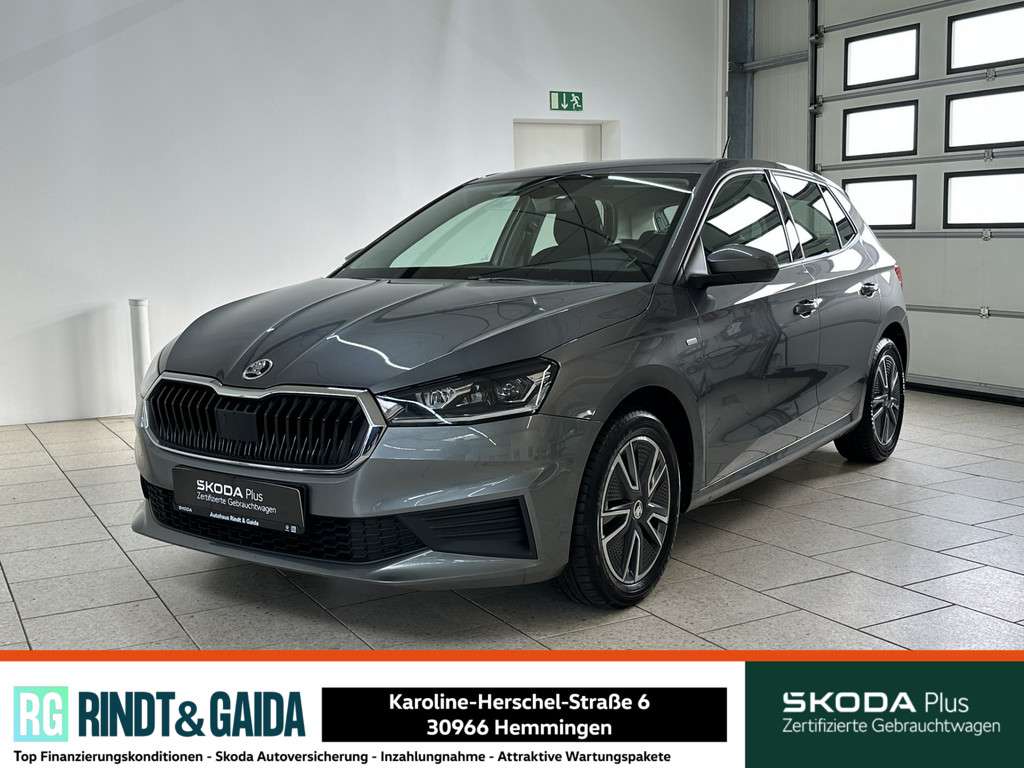 Fahrzeugbild eines Skoda Fabia