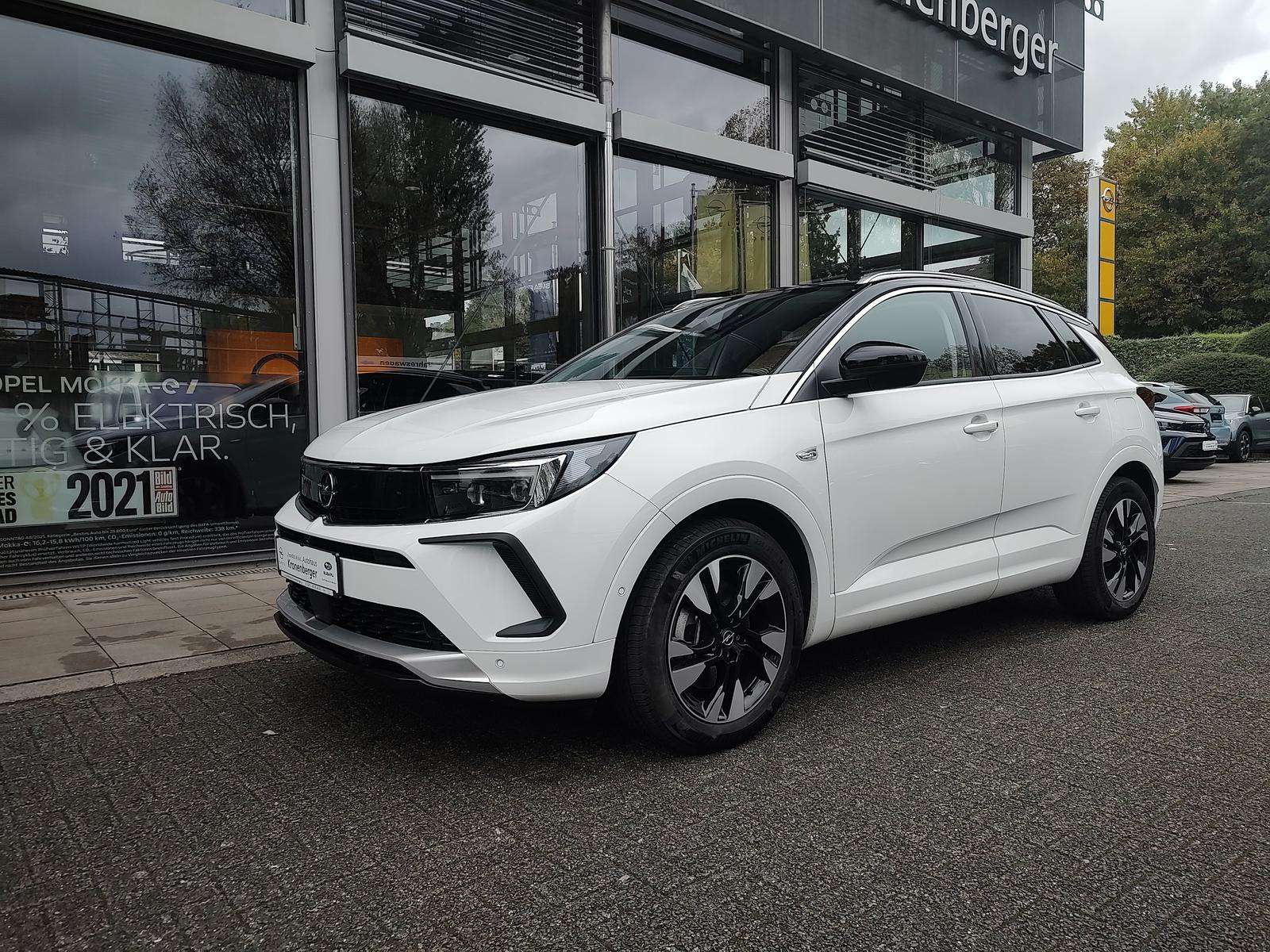 Fahrzeugbild eines Opel Grandland X