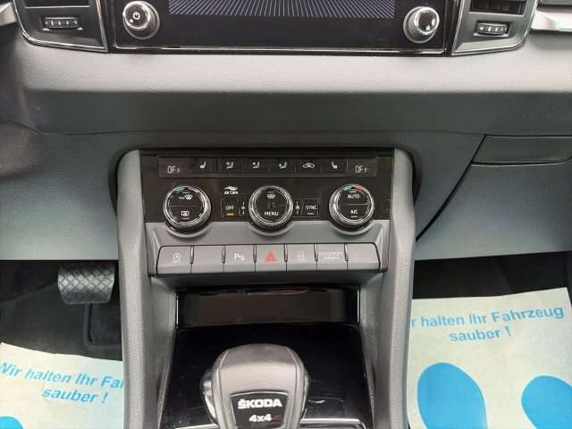Fahrzeugbild eines Skoda Karoq