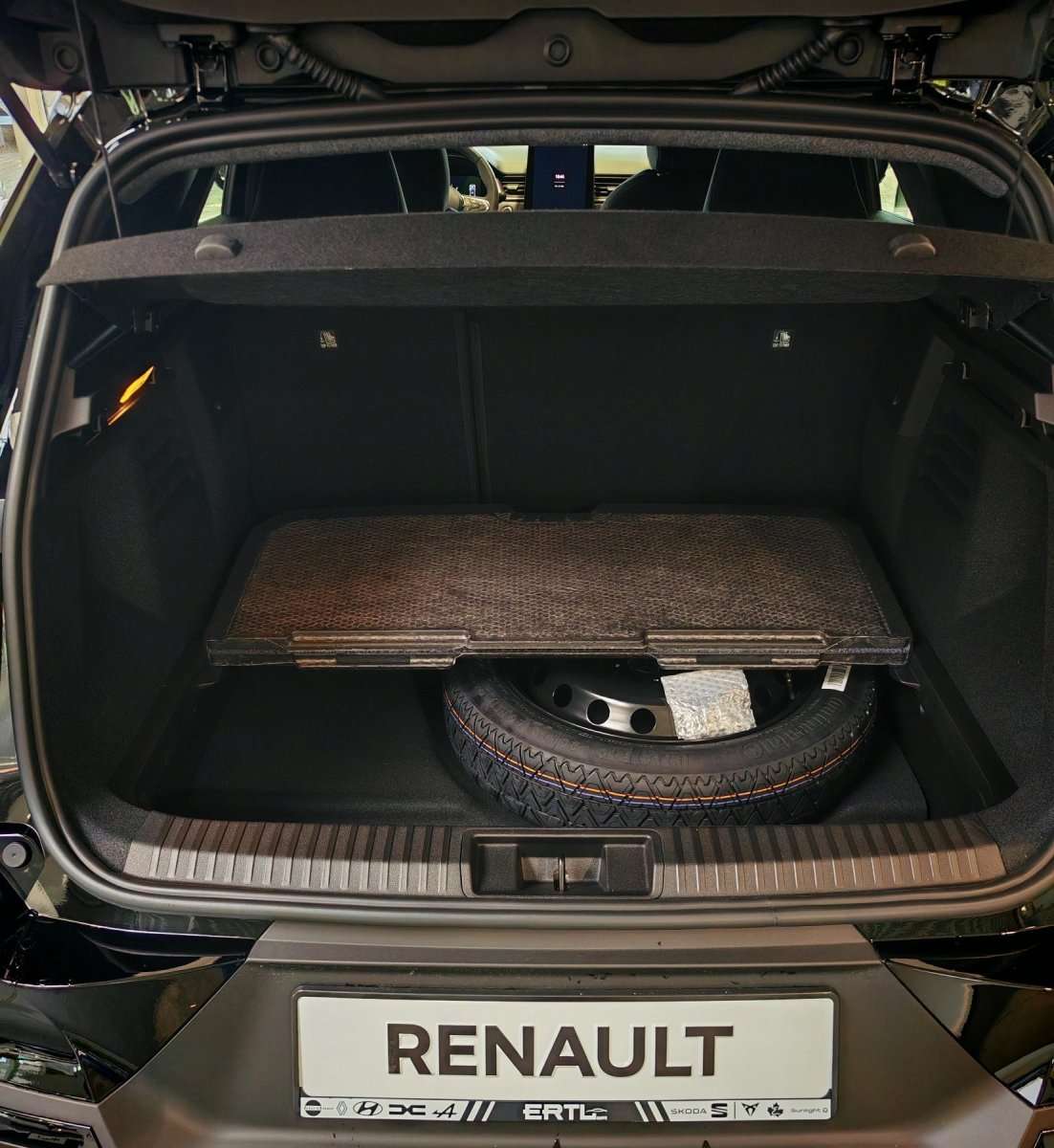 Fahrzeugbild eines Renault Symbioz