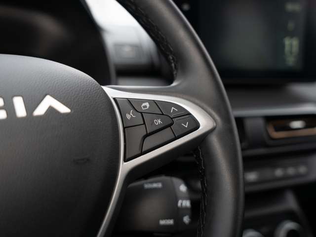 Fahrzeugbild eines Dacia Sandero